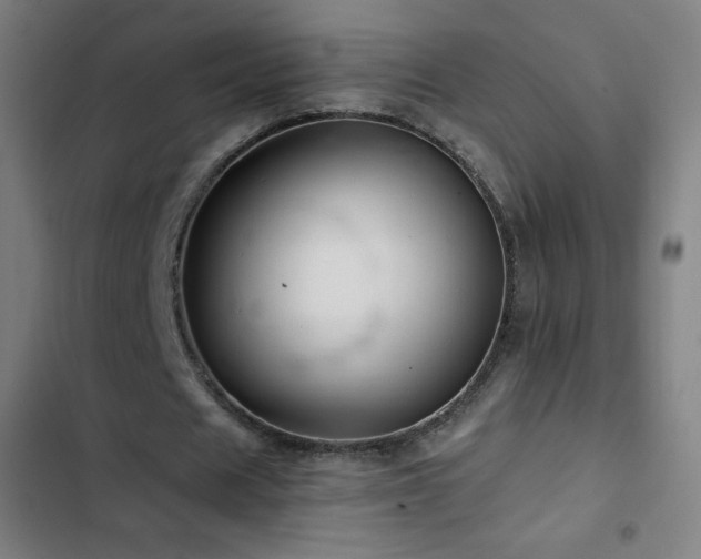 X0000103330625200809051210