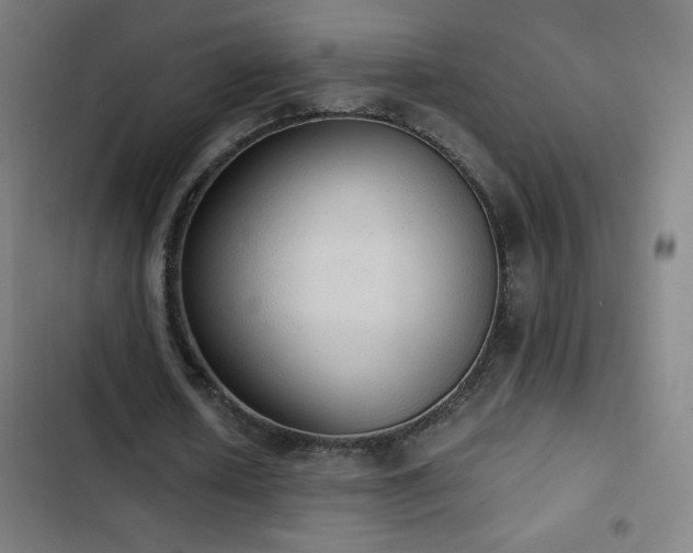 X0000103330626200809051210