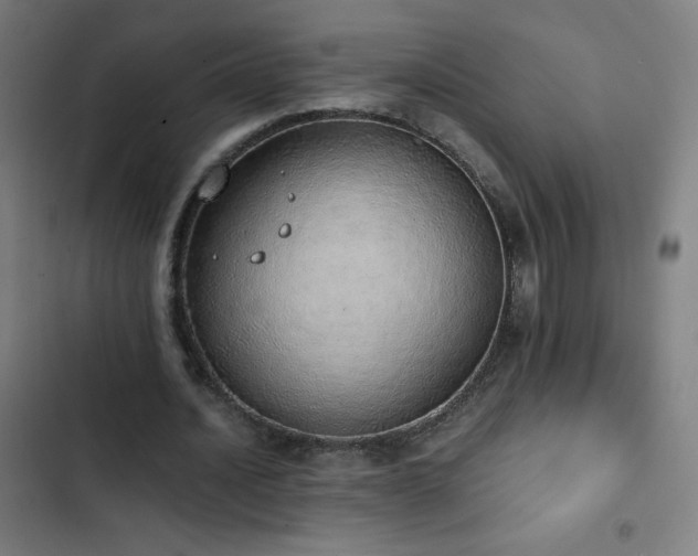 X0000103330628200809051210