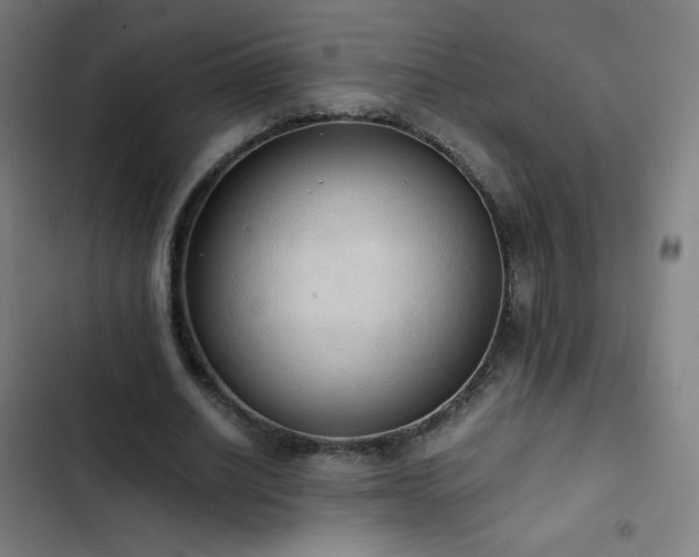 X0000103330630200809051210