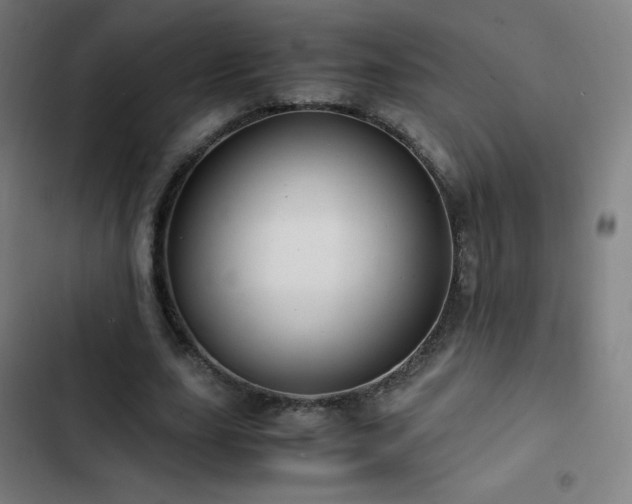 X0000103330631200809051210