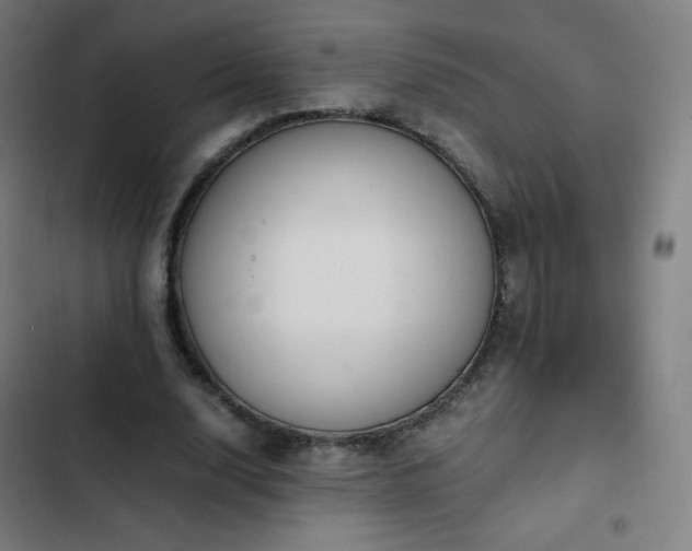 X0000103330632200809051210