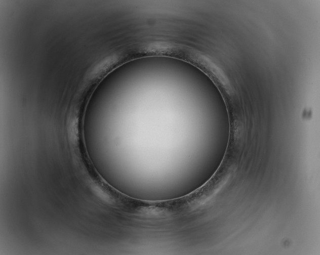 X0000103330633200809051210