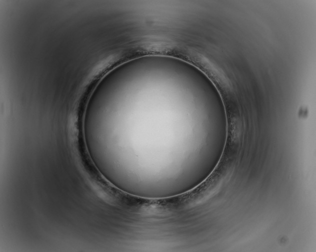 X0000103330634200809051210