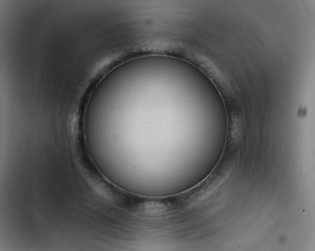 X0000103330636200809051210