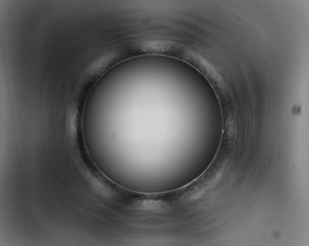 X0000103330637200809051210