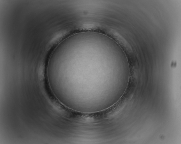 X0000103330640200809051210