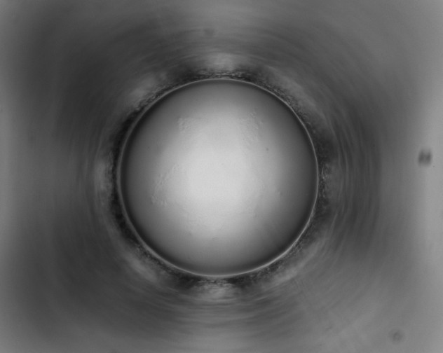 X0000103330642200809051210