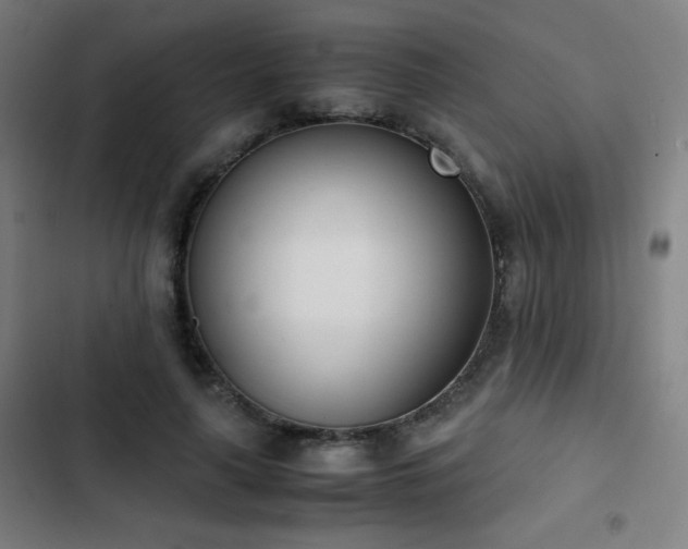 X0000103330643200809051210