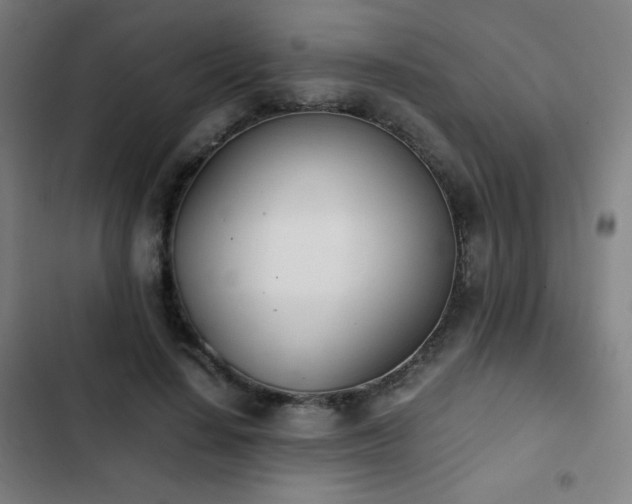 X0000103330644200809051210