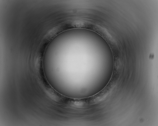 X0000103330645200809051210