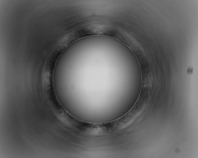 X0000103330646200809051210