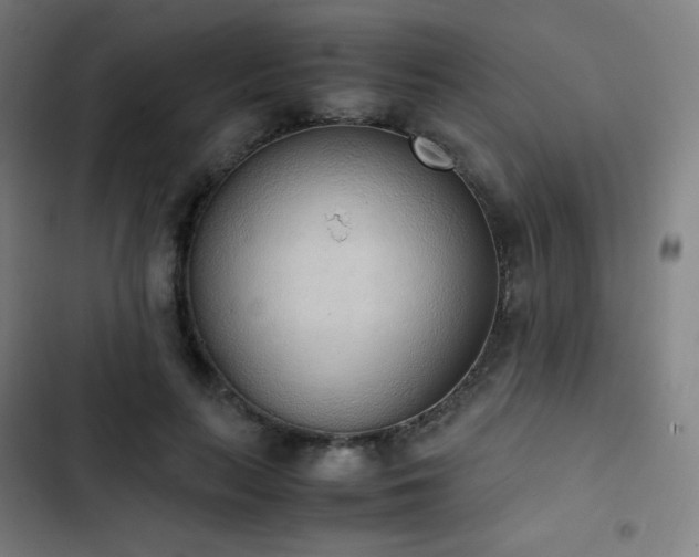 X0000103330647200809051210