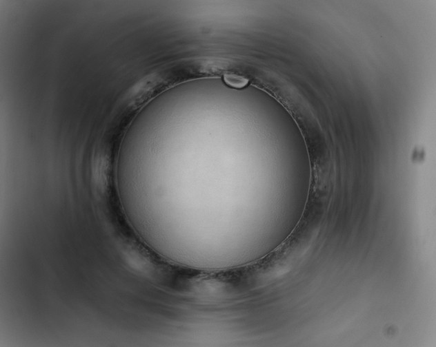 X0000103330648200809051210