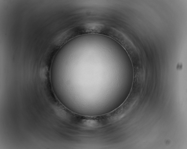 X0000103330649200809051210