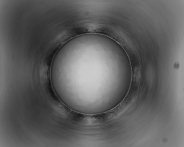 X0000103330650200809051210