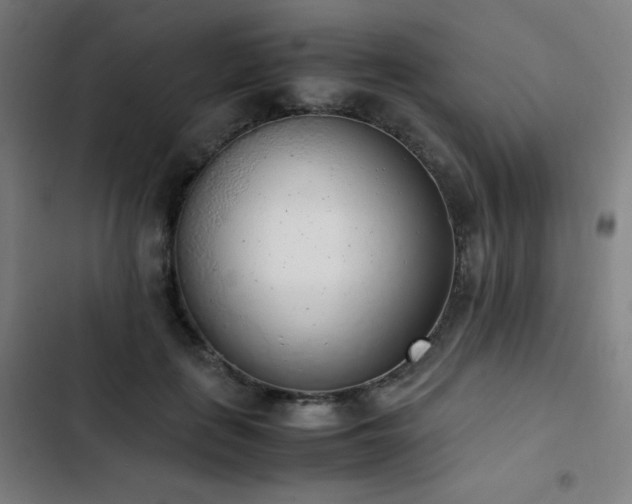 X0000103330651200809051210