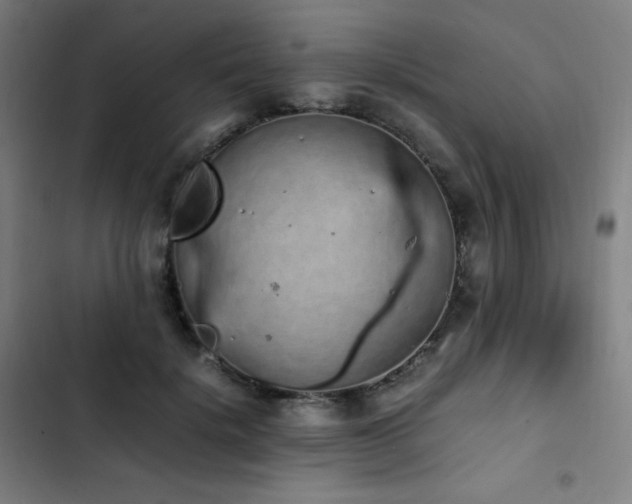 X0000103330652200809051210