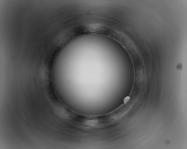 X0000103330653200809051210