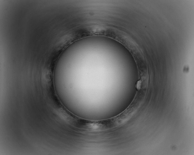 X0000103330654200809051210