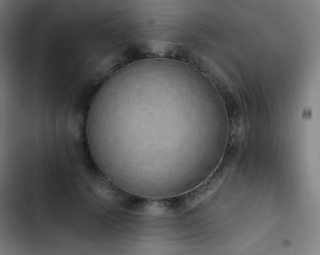 X0000103330656200809051210