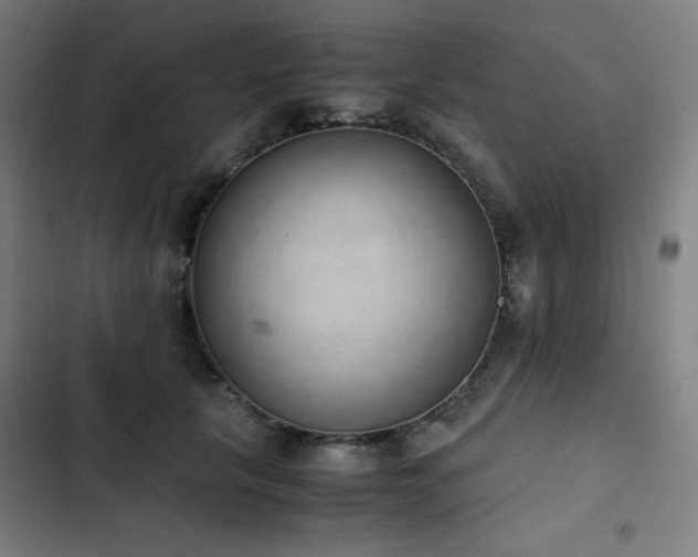 X0000103330657200809051211