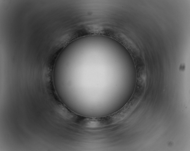 X0000103330658200809051211