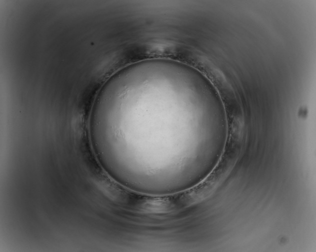 X0000103330659200809051211