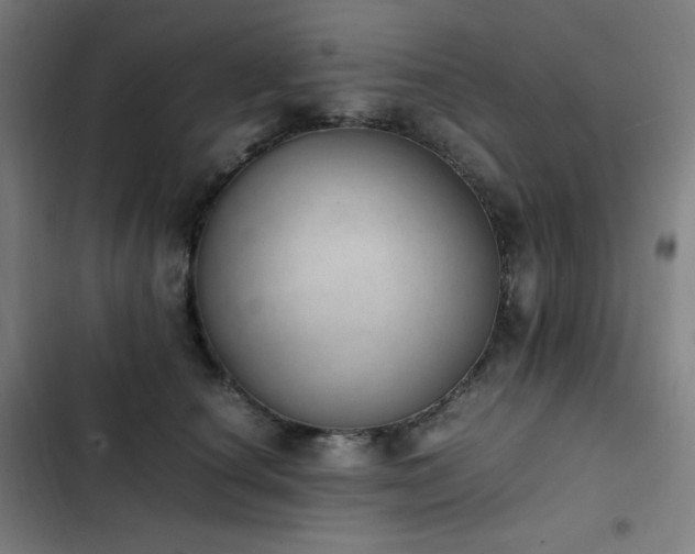 X0000103330660200809051211