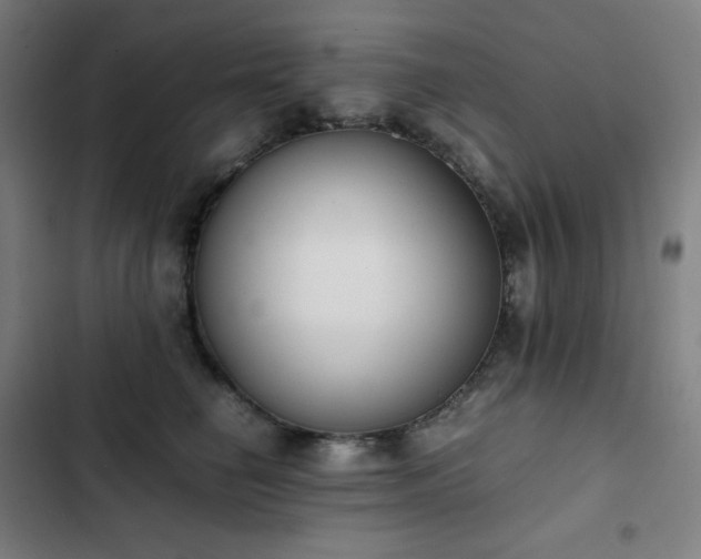 X0000103330662200809051211