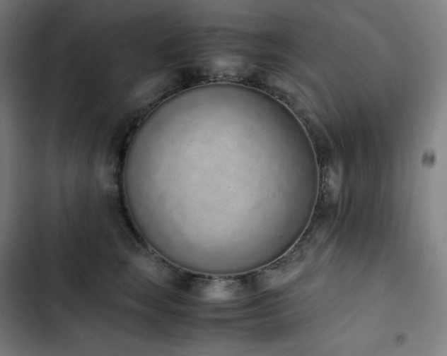 X0000103330663200809051211