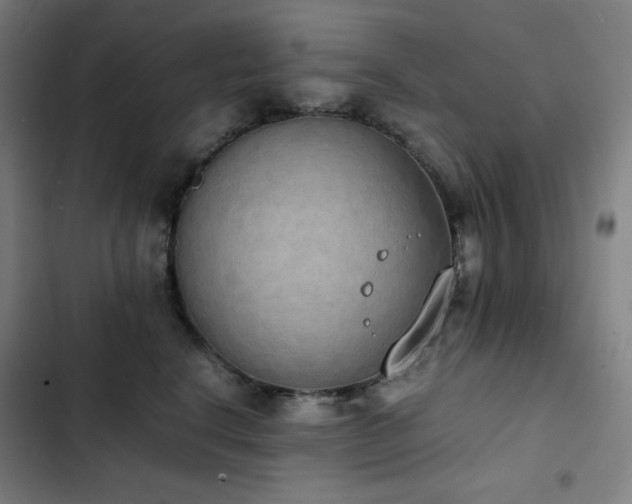 X0000103330664200809051211