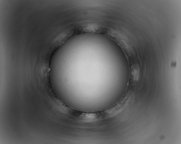 X0000103330665200809051211