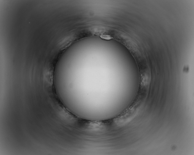 X0000103330666200809051211