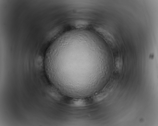 X0000103330667200809051211