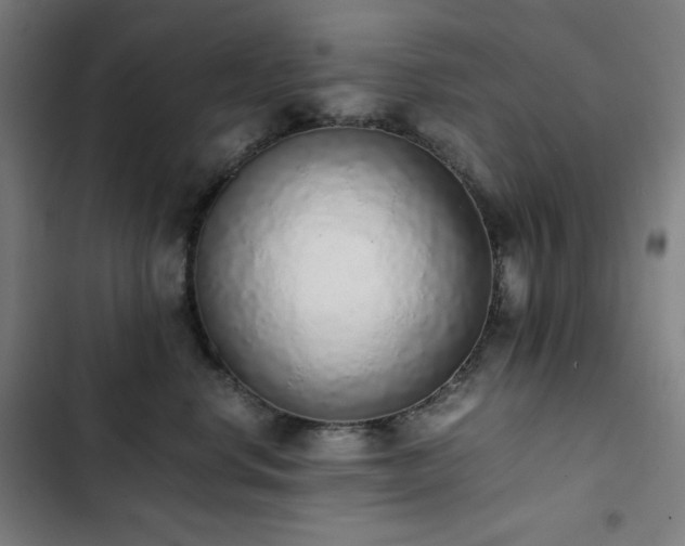 X0000103330668200809051211