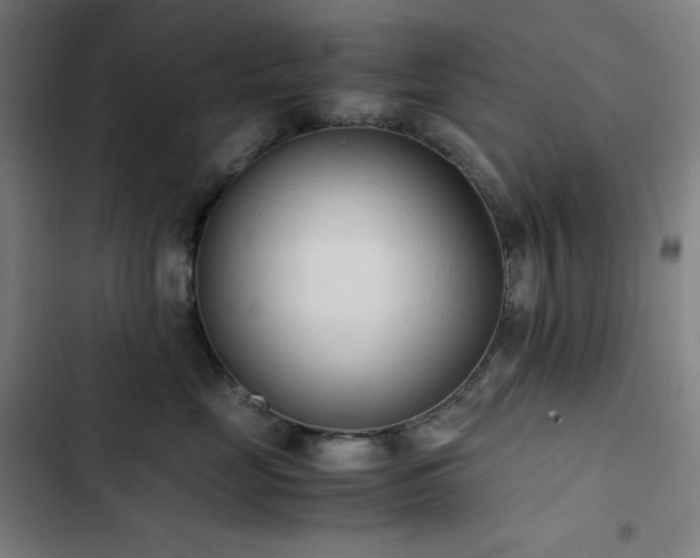 X0000103330669200809051211