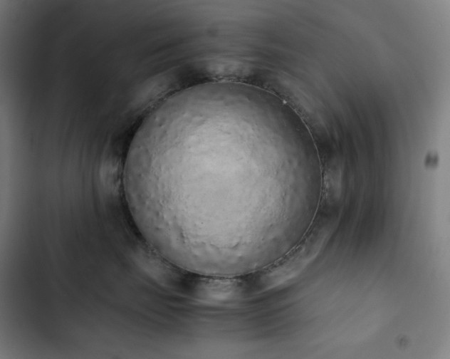 X0000103330671200809051211