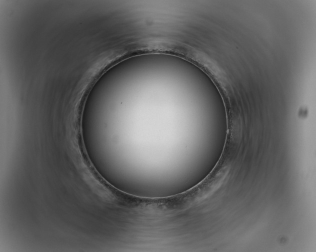 X0000103330673200809051210