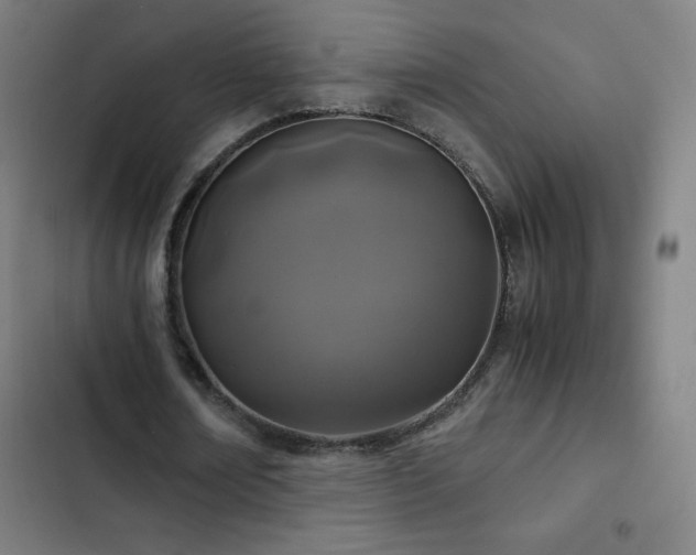 X0000103330674200809051210