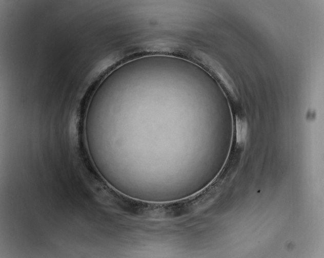 X0000103330675200809051210