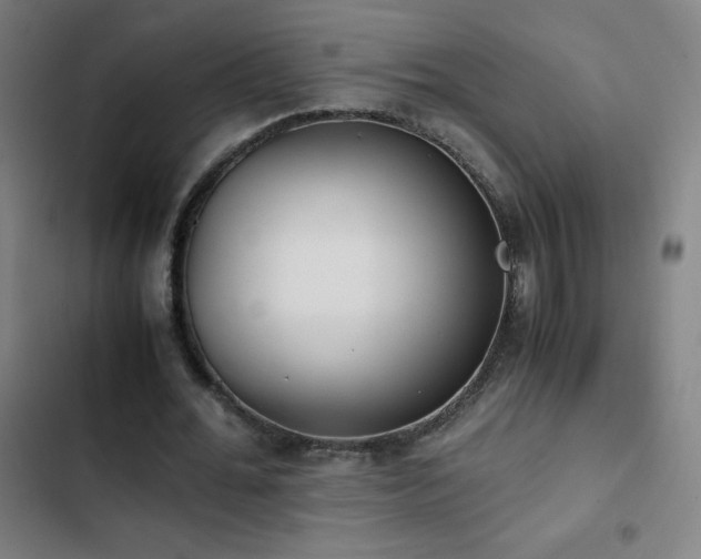 X0000103330676200809051210