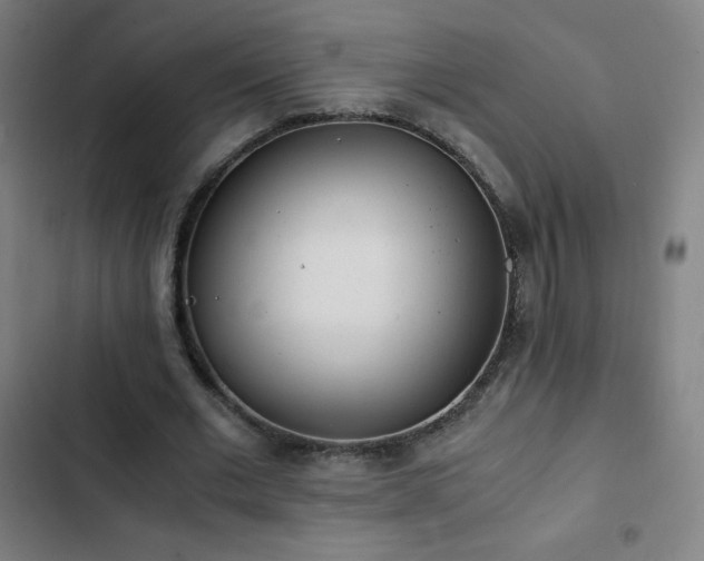 X0000103330677200809051210