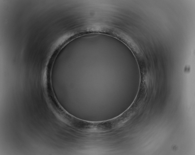 X0000103330678200809051210