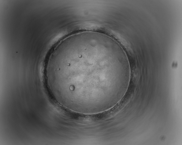 X0000103330679200809051210