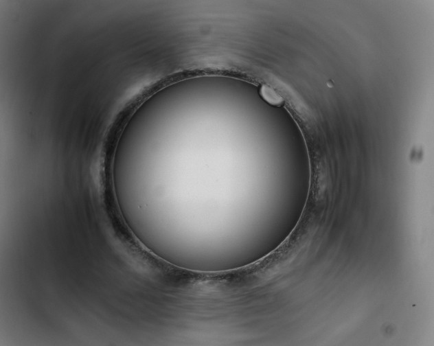 X0000103330680200809051210