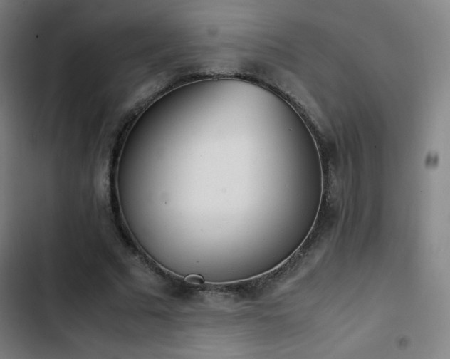 X0000103330681200809051210