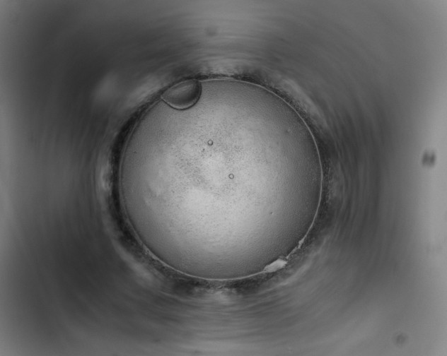 X0000103330683200809051210