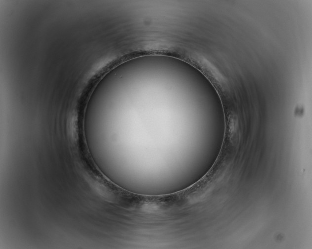 X0000103330684200809051210