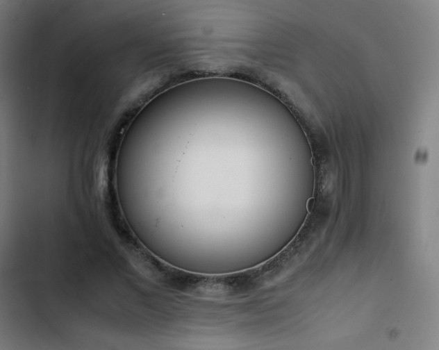 X0000103330685200809051210